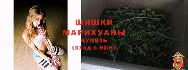 стаф Елизово