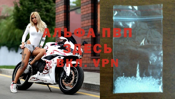 эйфоретик Заволжье