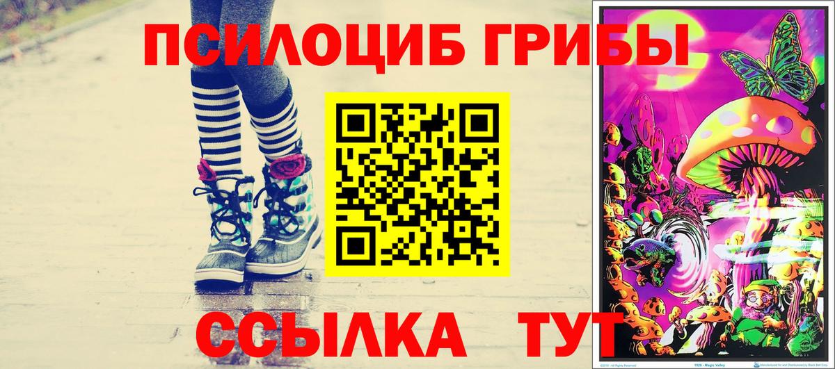 Псилоцибиновые грибы мухоморы Сальск