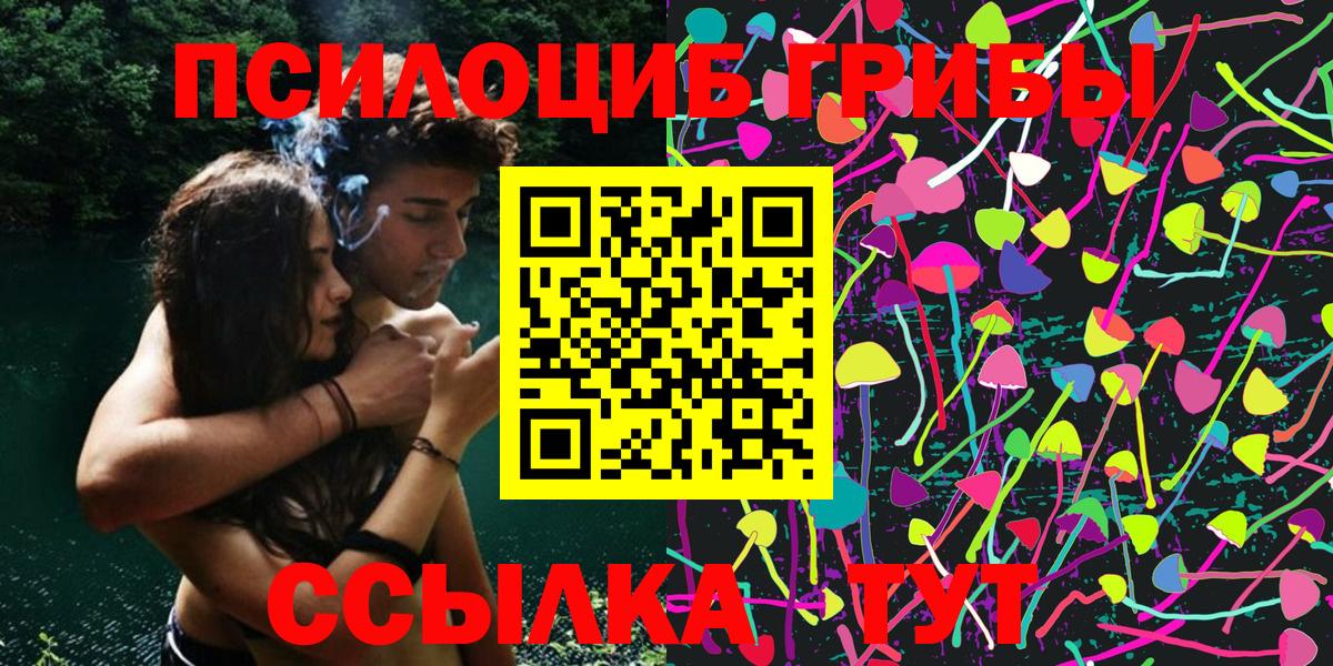 Галлюциногенные грибы Magic Shrooms  Псилоцибиновые грибы Cubensis  Сальск  Вход с VPN 